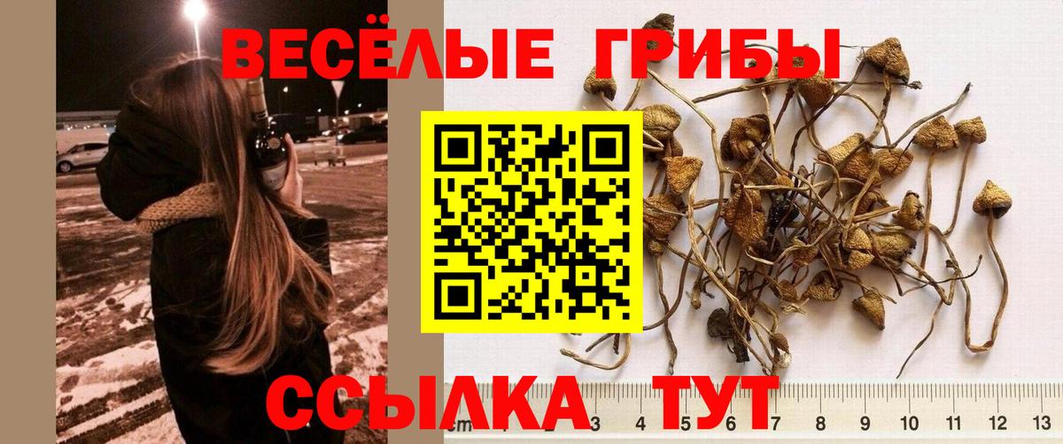 Псилоцибиновые грибы прущие грибы Борисоглебск