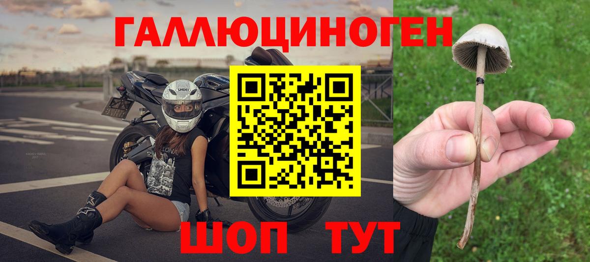 Борисоглебск  Псилоцибиновые грибы мухоморы  закладка  Вход с VPN 
